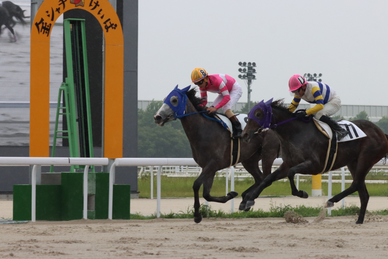 名古屋競馬場における協賛レースの開催について