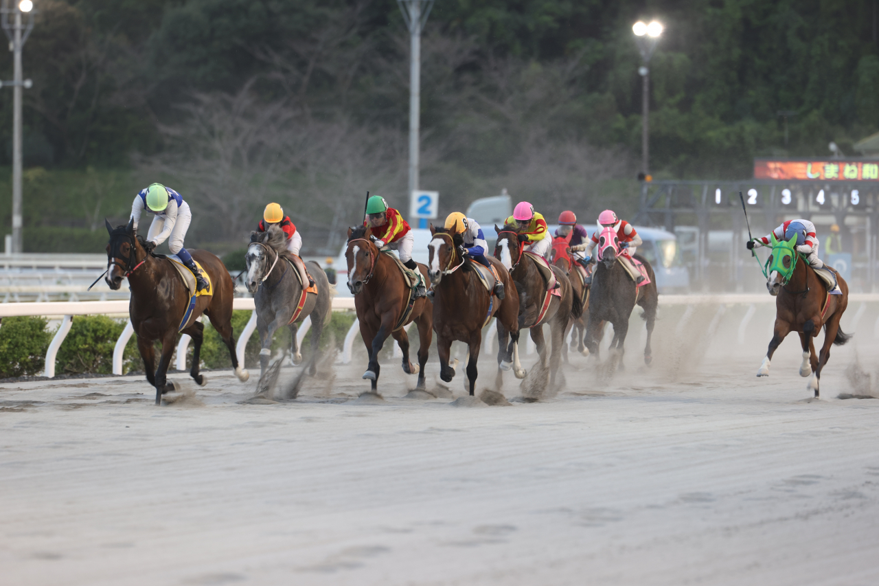 高知競馬場における協賛レースの開催およびしまね和牛PR活動について