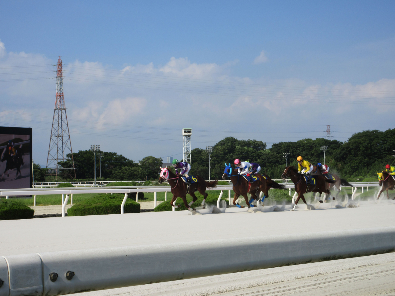 令和8年度園田競馬場における協賛レースの開催およびしまね和牛PR活動について