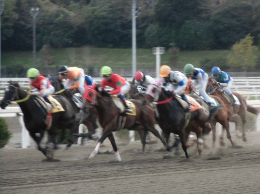 「高知けいば」における中国地区畜産協会協賛福山競馬記念特別競走 (個人協賛レース)の終了について