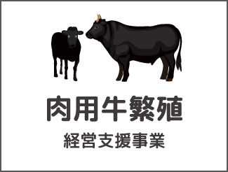 肉用牛繁殖経営支援事業